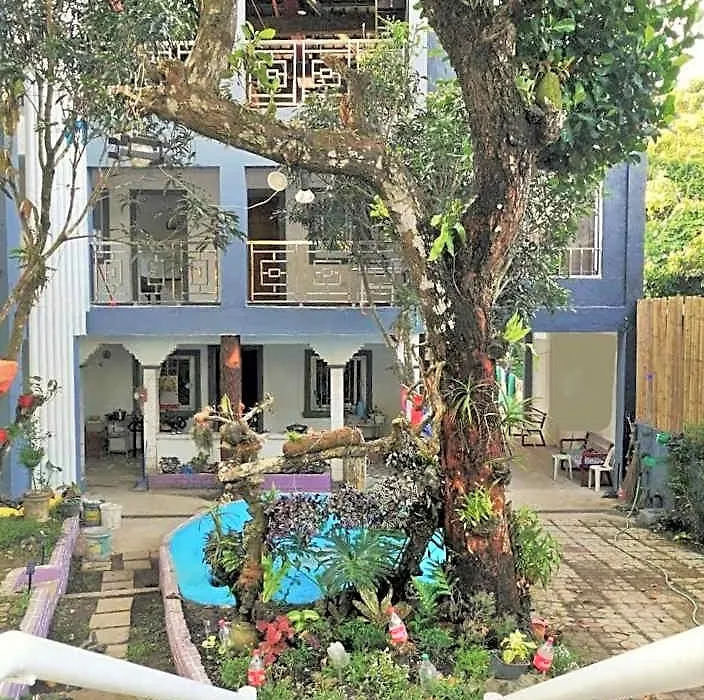 Purple Orchid Bed And Breakfast-1